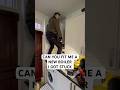 Can you change my boiler please ? #plumbingtime #plumber #plumbing #boiler #emergencyplumbing
