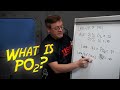 Why is po2 important for divers  scuba 101