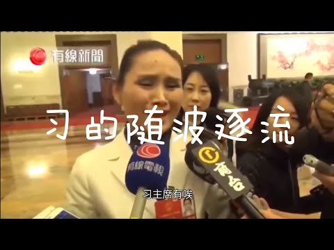 【辱包】习的随波逐流（原曲：神的随波逐流）