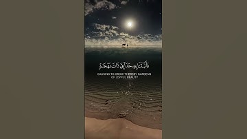 استمع لجمال القرآن الكريم ❤️ #قران_كريم #اكسبلور #راحة_نفسية #تلاوة_خاشعة #عبدالرحمن_مسعد #عبدالباسط
