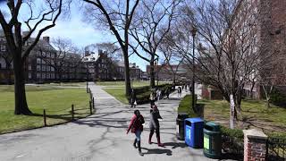 Brooklyn College 8K Time Lapse