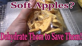 Soft Apples Dehydrate  Them To Save Them! screenshot 4