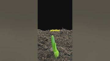 What If, I Am - Exploring Infinite Possibilities To Unleash Your Full Potential!