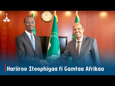 Itoophiyaa Fi Gamtaan Afrikaa Hariiroo Isaanii Irra Caalaa Cimsuuf Hojjetaa Jiru Afaan Oromoo