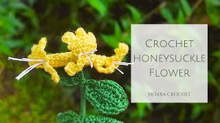 How to Crochet Honeysuckle Youtube   Moara Crochet