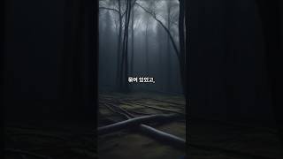 대구 성서초등학교 학생 살인 암매장 사건(1991)손발 묶인 채 발견된 초등학생…왜 그 아이였을까?
