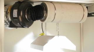 Bonanza growbox 600