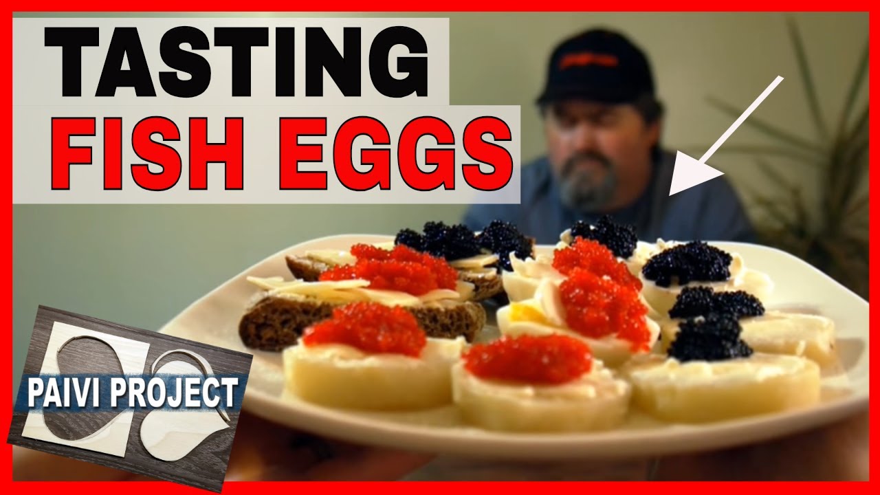 Tasting Fish Eggs YouTube