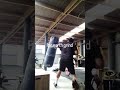 far north grind