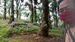 Perjalan Ziarah Ke Kramat Gunung Tunggal Badui