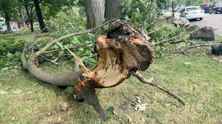 'I saw a roof in the air': Neighbors describe what they witnessed as a tornado hit Buffalo