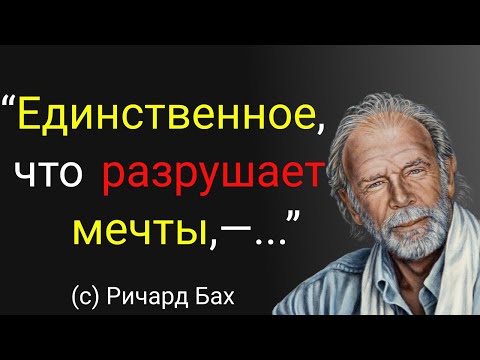Лучшие цитаты прекрасного писателя Ричарда Баха о жизни. Мудрые слова, высказывания, афоризмы. Лучшие цитаты прекрасного писателя Ричарда Баха о жизни. Мудрые слова, высказывания, афоризмы.