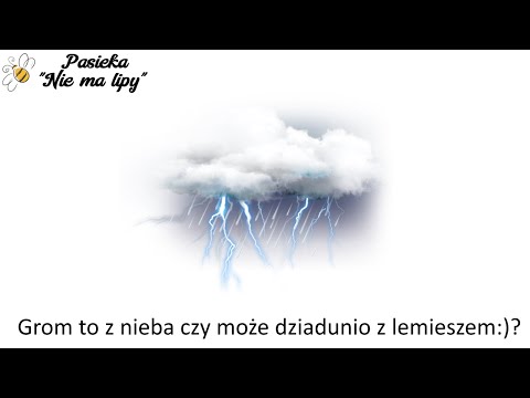 Wideo: Barszcz Zielony Z Pokrzywą, Dzikim Czosnkiem I Szpinakiem W Bulionie Wołowym