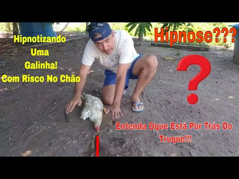 Vídeo: Como hipnotizar uma galinha: 10 etapas (com fotos)