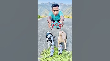 Caw and Camel 2 ta unboxing remote control 😱#shortsfeed