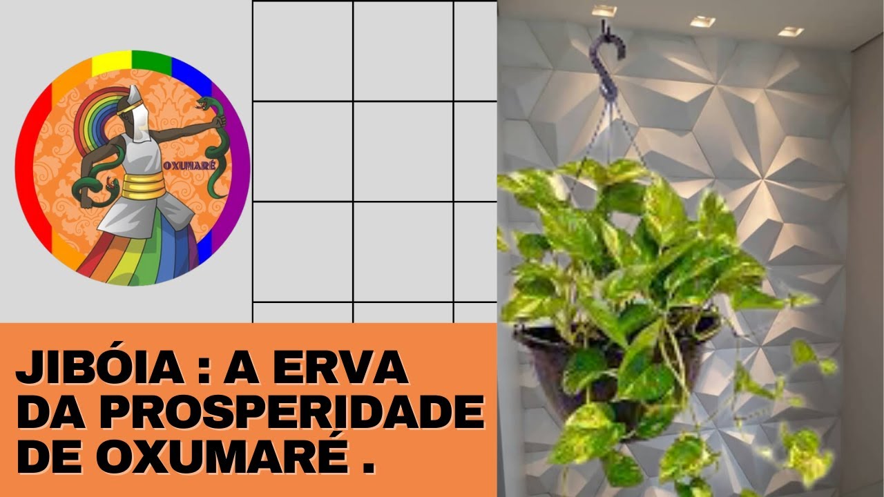Jibóia: A Erva da Prosperidade de Oxumaré.