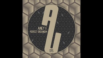 Aney F. - Perfect Organism (Original Mix) [AUM015]