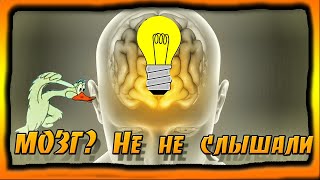 О ТАКОМ ВЫ ТОЧНО НЕ ЗНАЛИ/НА ЧТО СПОСОБЕН МОЗГ?