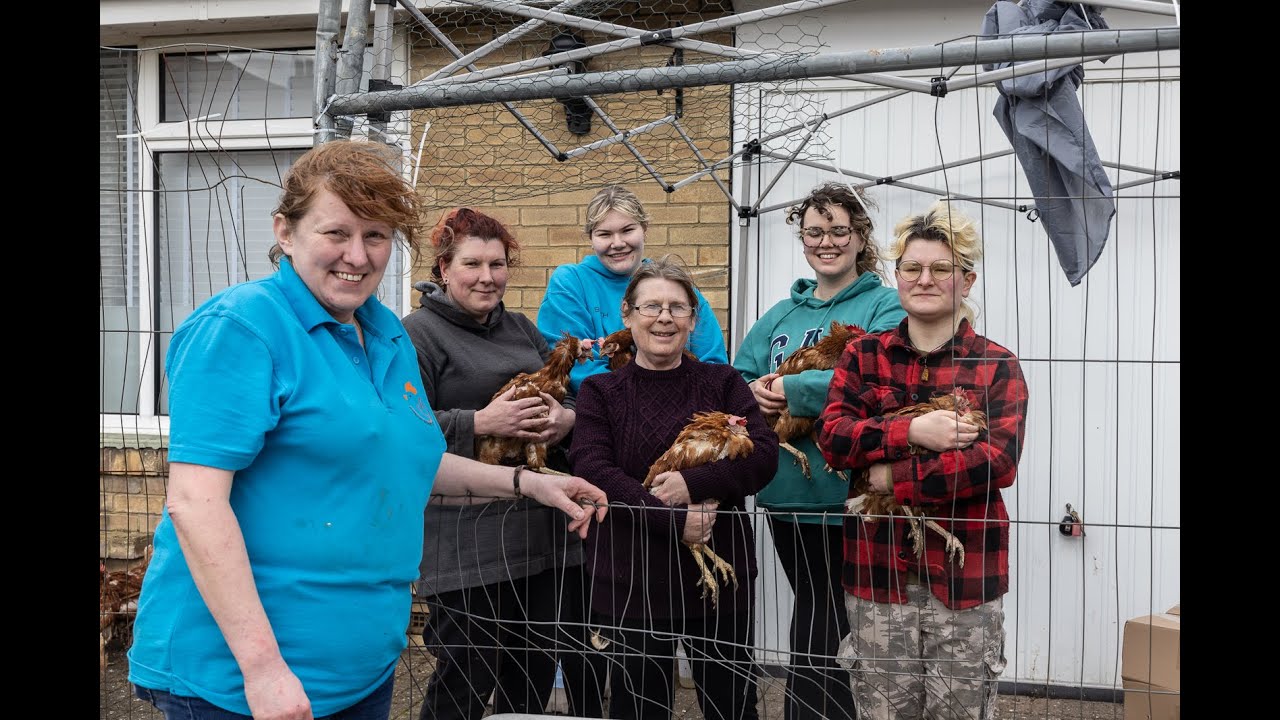 Fresh Start for Hens - YouTube