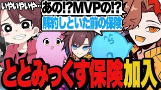 大会で好成績を残してきたととみっくすの保険に加入すれば勝てると思ってるありさかたち【Valorant/ヴァロラント】