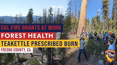 CAL FIRE Forest Health Grants at Work: Teakettle Prescribed Fire Project