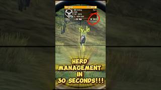 👀 EASY HERD MANAGEMENT in 30 SECONDS!!! The Hunter: Call of the Wild