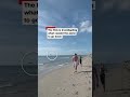 Pilot crash lands plane into the ocean to avoid buildings near the Florida coast