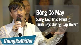 QUANG LẬP - Bông Cỏ May | GIỌNG CA ĐỂ ĐỜI