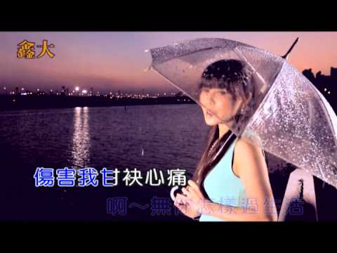 鑫大唱片-卡拉ok字幕版-落袂煞(主唱:游麗紅)