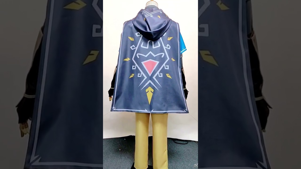 Tears of the Kingdom Link Cosplay