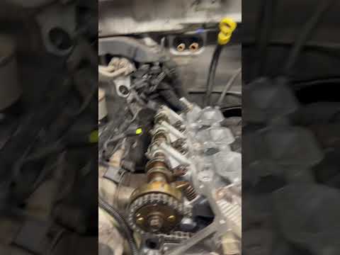 Terry Hall Auto Repair Hayti Mo