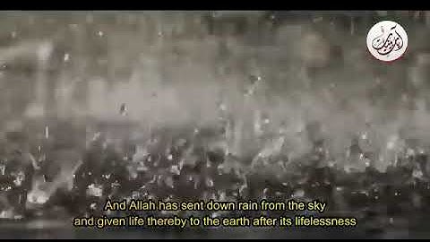 ما تيسر من سوره النحل للقارئ الشيخ حسن صالح