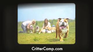 Pet Boarding in Amarillo TX