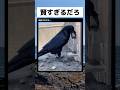 こんなに頭がいいのね... #すごい #shorts