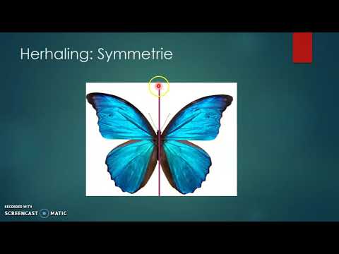 Video: Perfectie van lijnen - axiale symmetrie in het leven