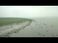 Jamuna River