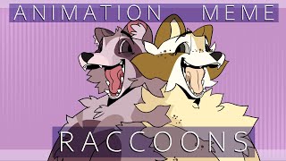 RACCOONS {Animation Meme}