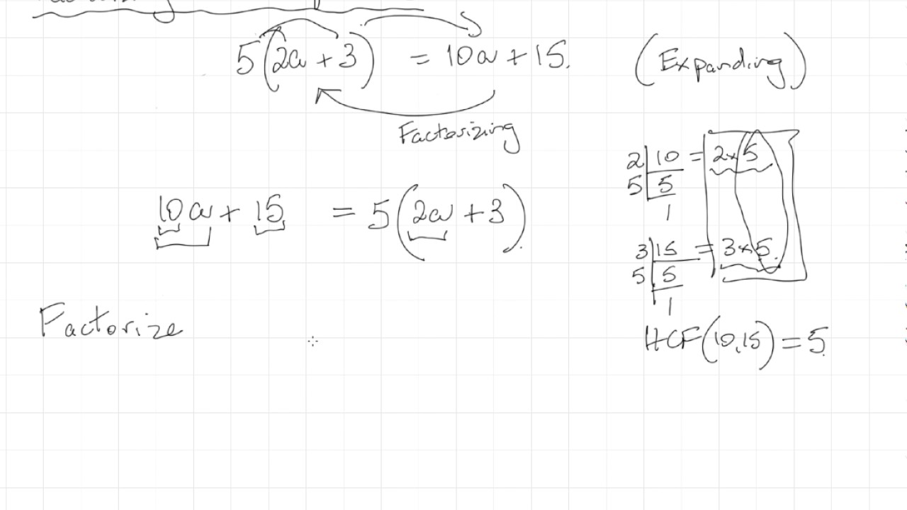 4 2 3 Factorizing Linear Equations YouTube