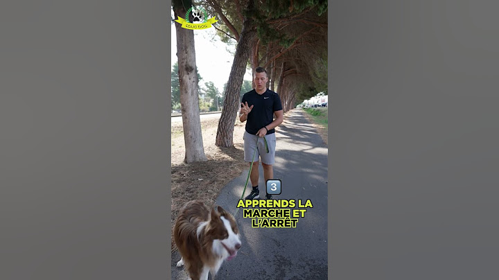 Is your dog pulling on the leash? 🐕🤷‍♂️