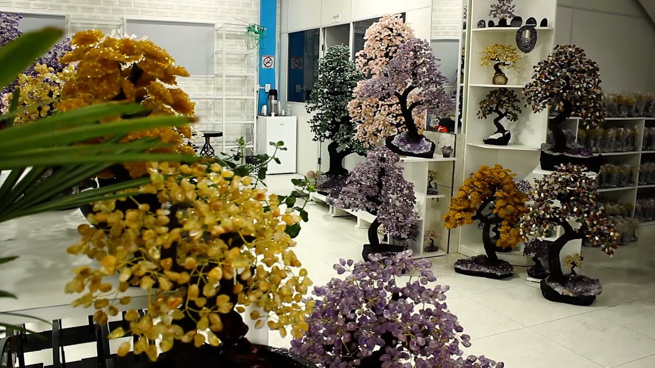 A árvore de pedras preciosas que pode custar 160 mil reais!