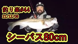 釣り楽#44シーバス80cm【21/12/08】