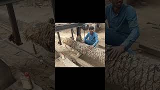 Palm Tree Turned Into Wood Beam! 😲🪵 #palmtree #wood #forgedfromiron #machine #shorts