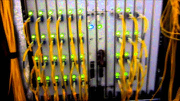 Dog Humps Juniper MX960