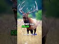 GRIZZLY BEAR Charges and ATTACKS Group of HUNTERS | JRE #joerogan #jre #animalshorts