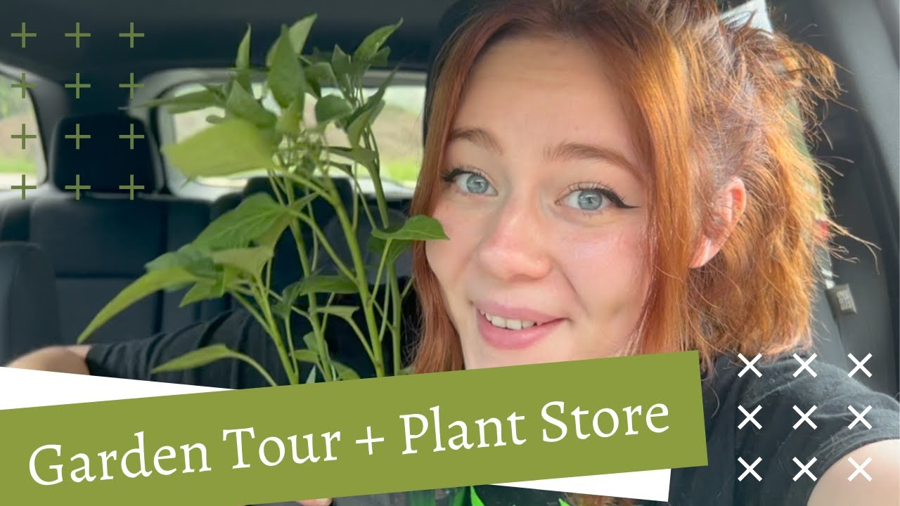 Garden Tour Trip To The Plant Store YouTube garden-tour-trip-to-the-plant-store-youtube