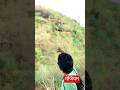 मेजियम पर मासती