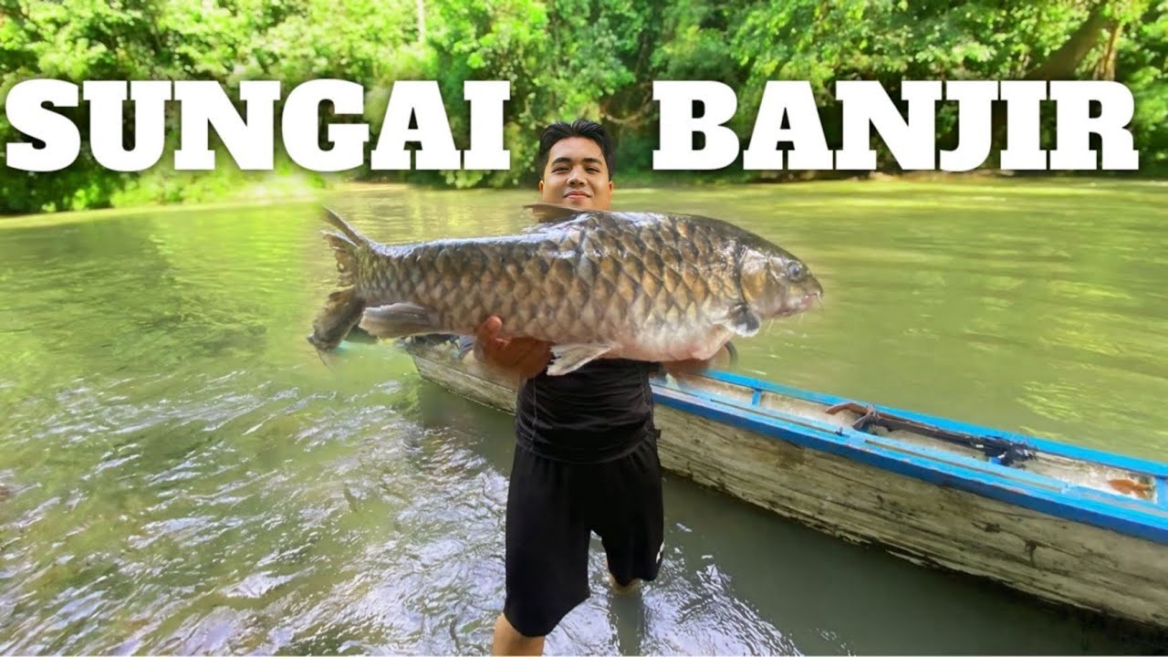 Camping Hujan Deras Badai Petir Pertualangan 3 Hari di hutan Fishing Cooking and Bushcraft