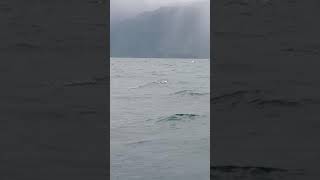 Menuju pulau kaleroang Sulteng