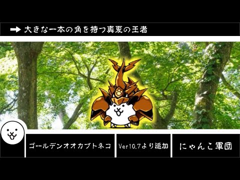 ニャン太様ご依頼品おまとめ6点 ニャン太様ご依頼品おまとめ6点 ニャン太様ご依頼品