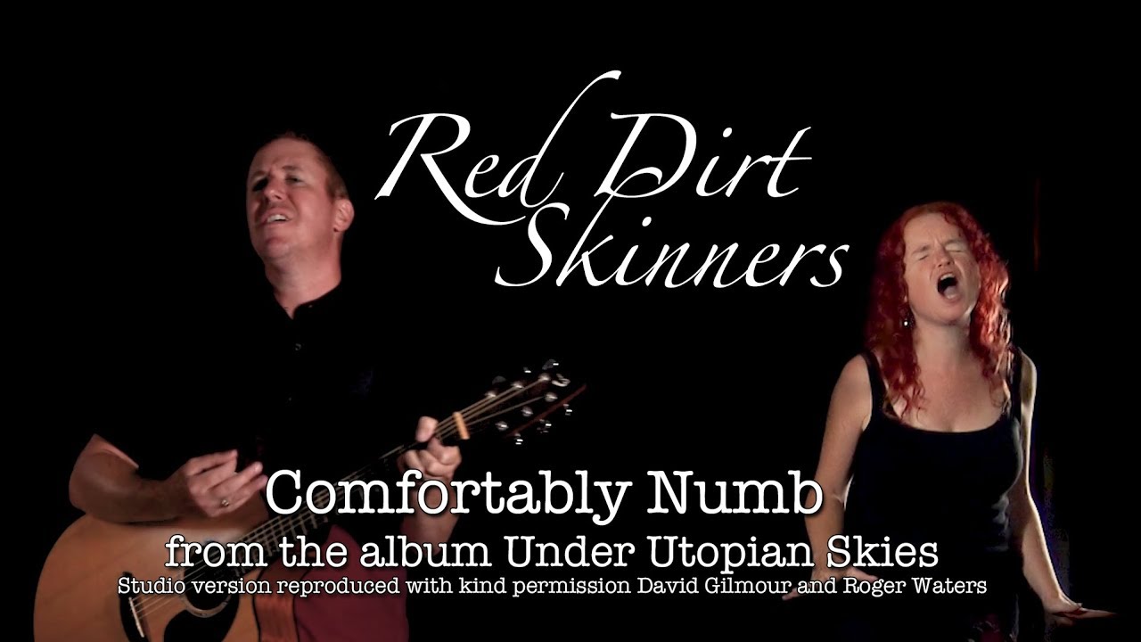 Red Dirt Skinners | Comfortably Numb | Pink Floyd Cover | Studio